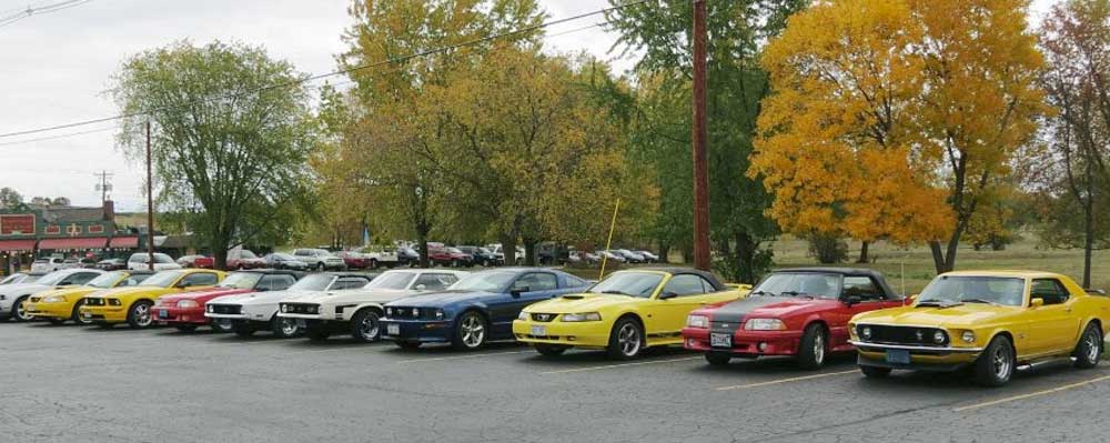 Mustang car show